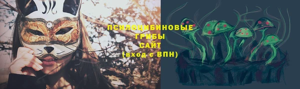гидропоника Нягань