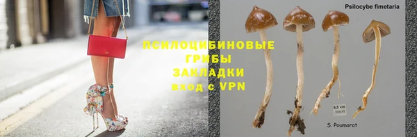 СК Новокубанск