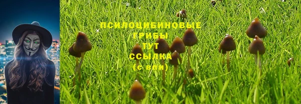 MDMA Нязепетровск