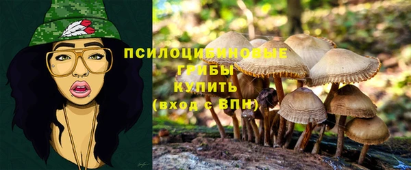 гидропоника Нягань