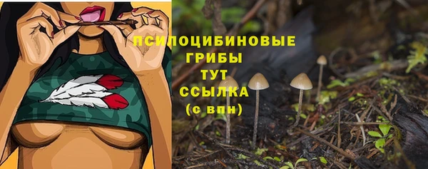 хмурый Семикаракорск